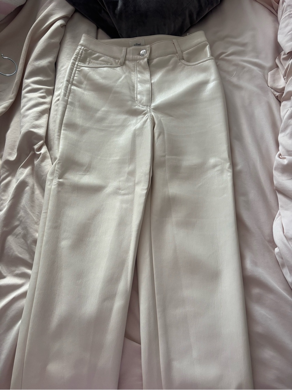 Aritzia leather pants